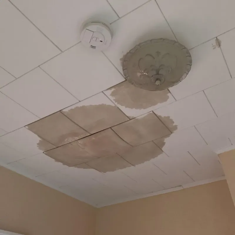 Ceiling Water Damage Repair in Stony Point, NC