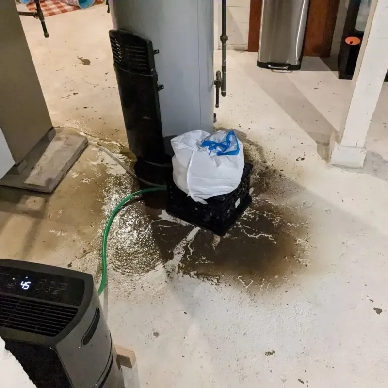 Sewage Backup Cleanup Service in Stony Point, NC